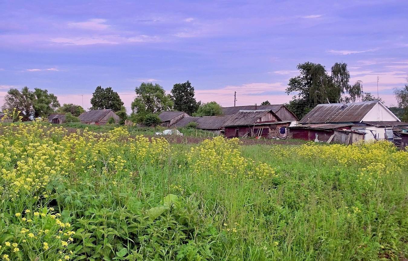 Вечереет в деревне