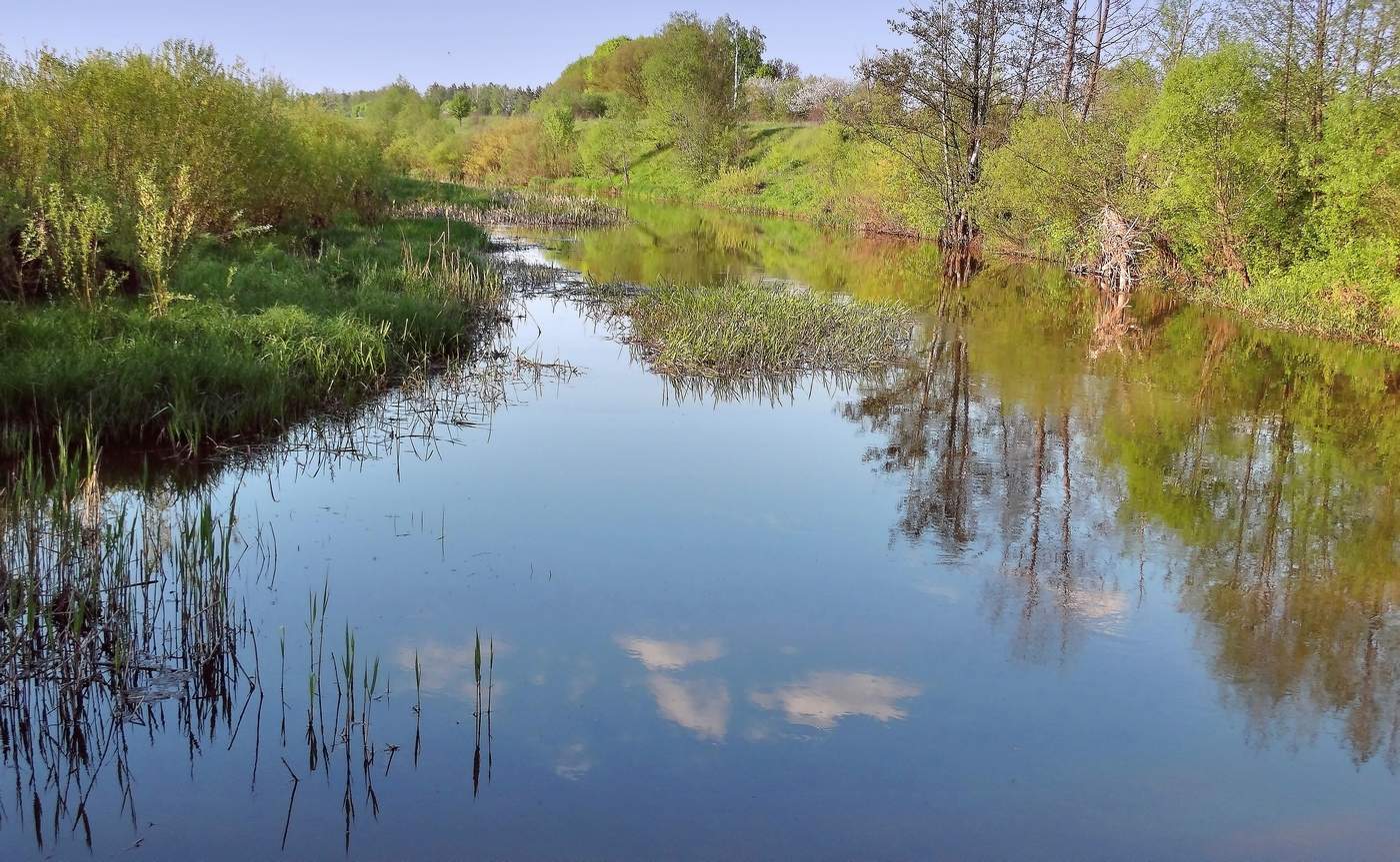 Тихий, ласковый вечер