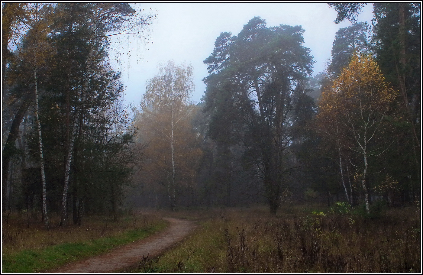 унылое утро осени