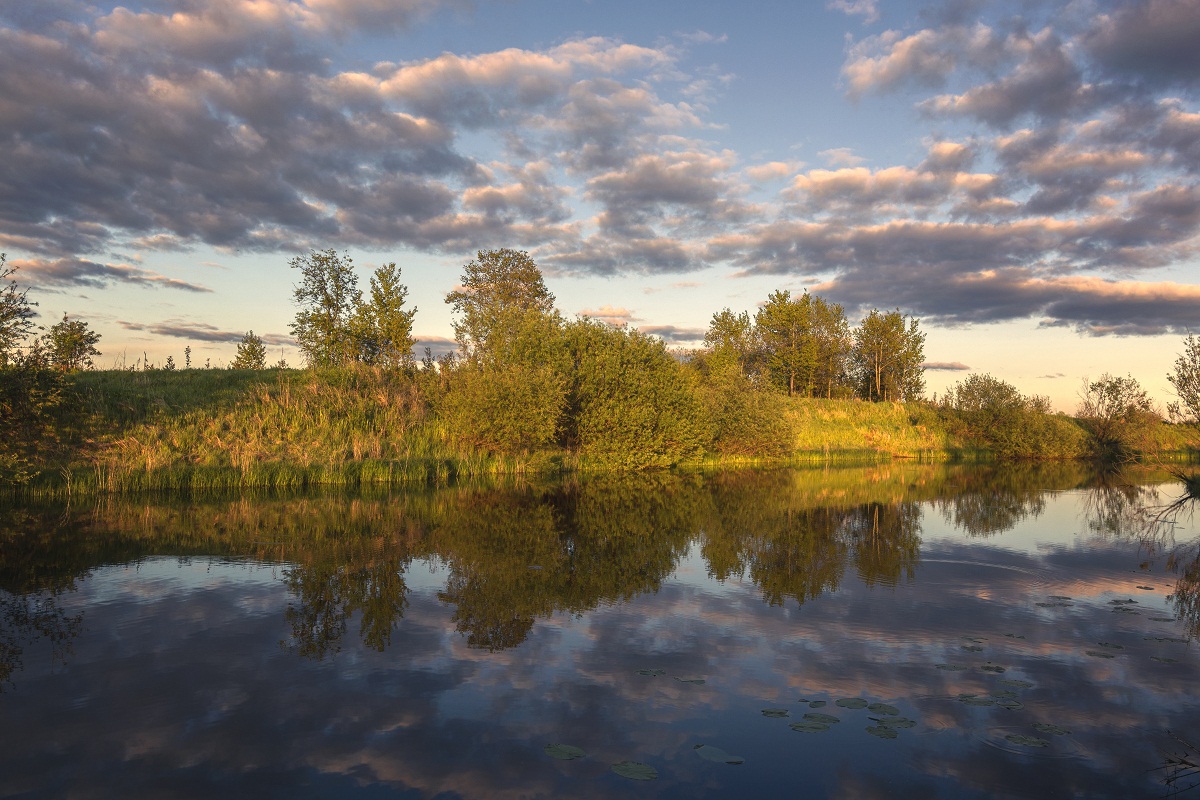 Тихий вечер.(3)