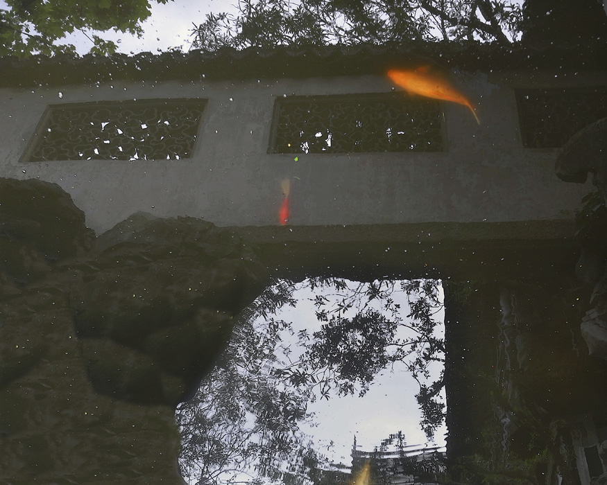 пейзаж с золотыми рыбками