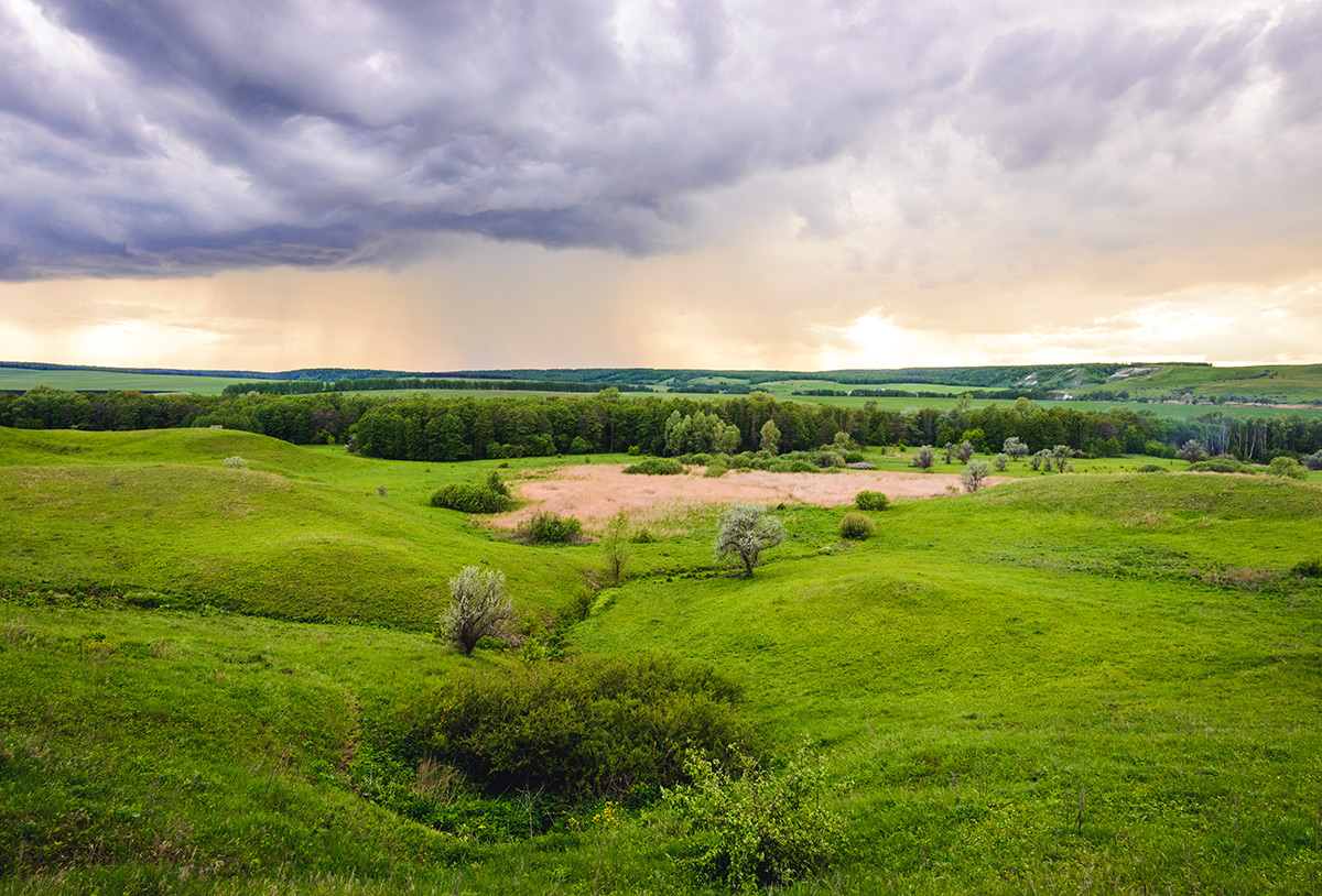 Весеннее настроение...