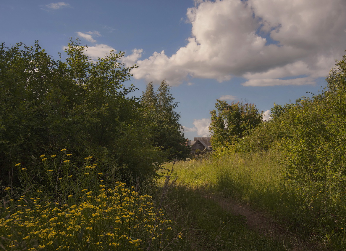 Вот и пришли