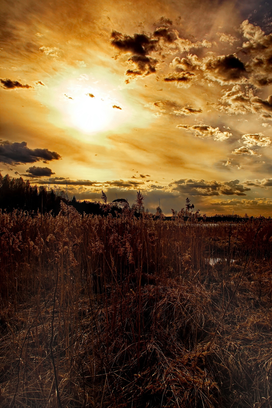 Afoninskaya torfokarer