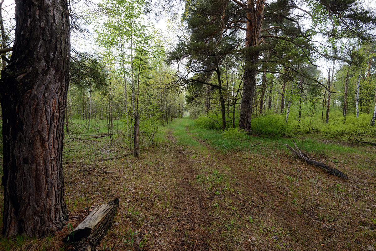 После дождя...