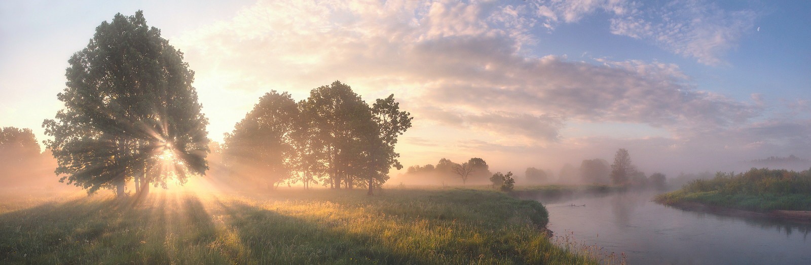Июньское утро