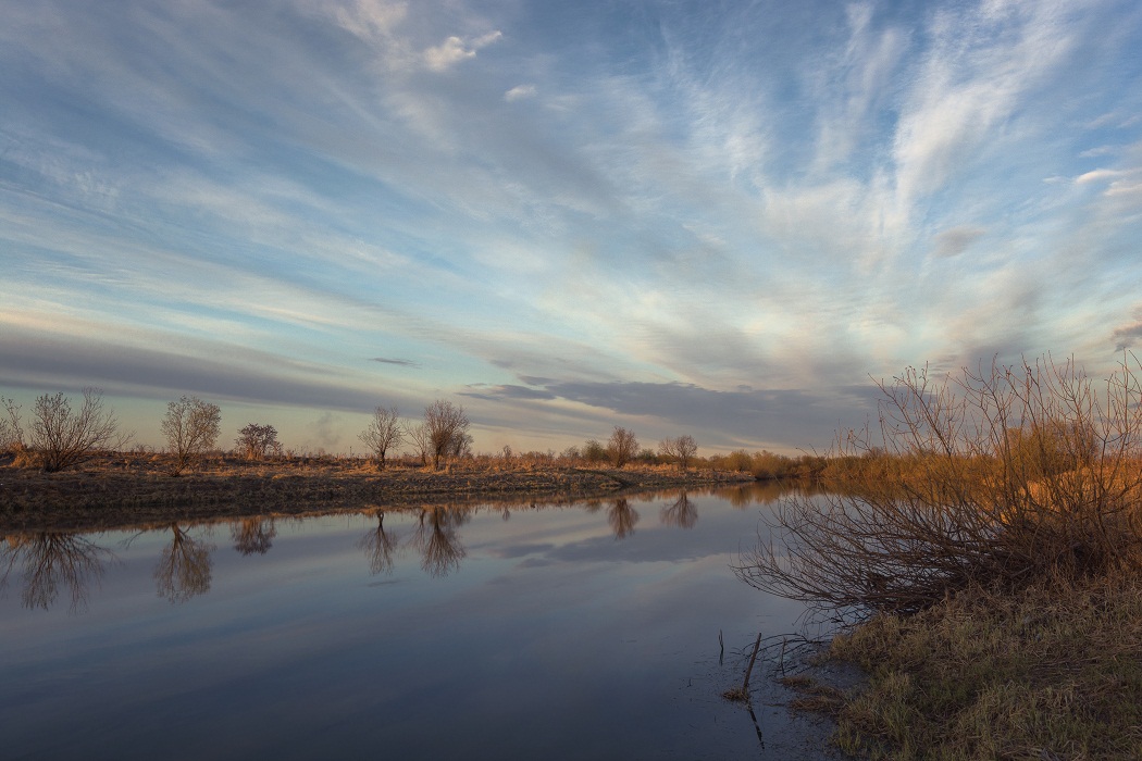 Вессенний вечер.