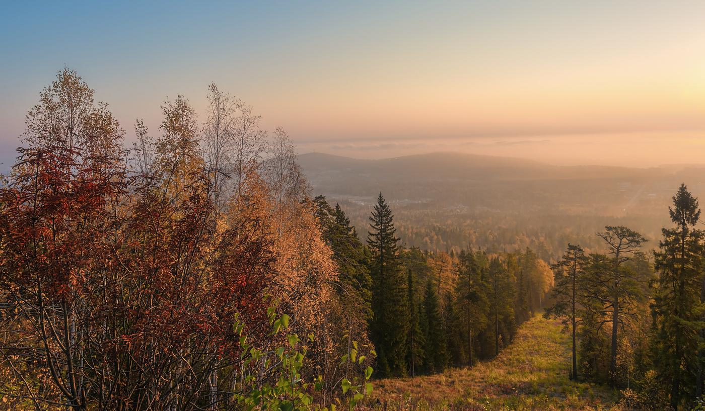 Утренний туман