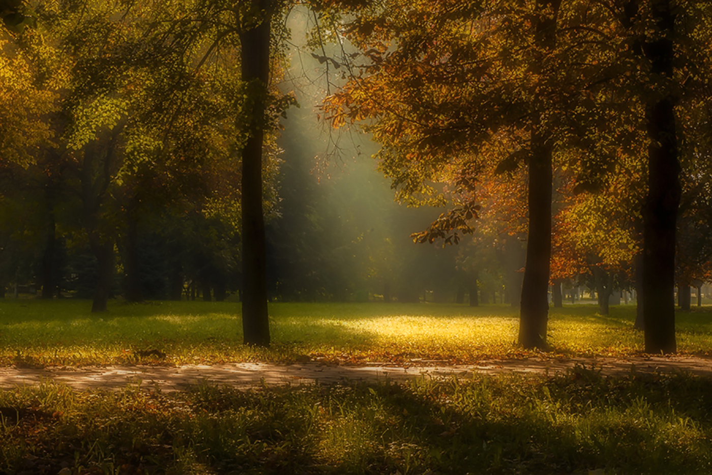 Осенняя сказка