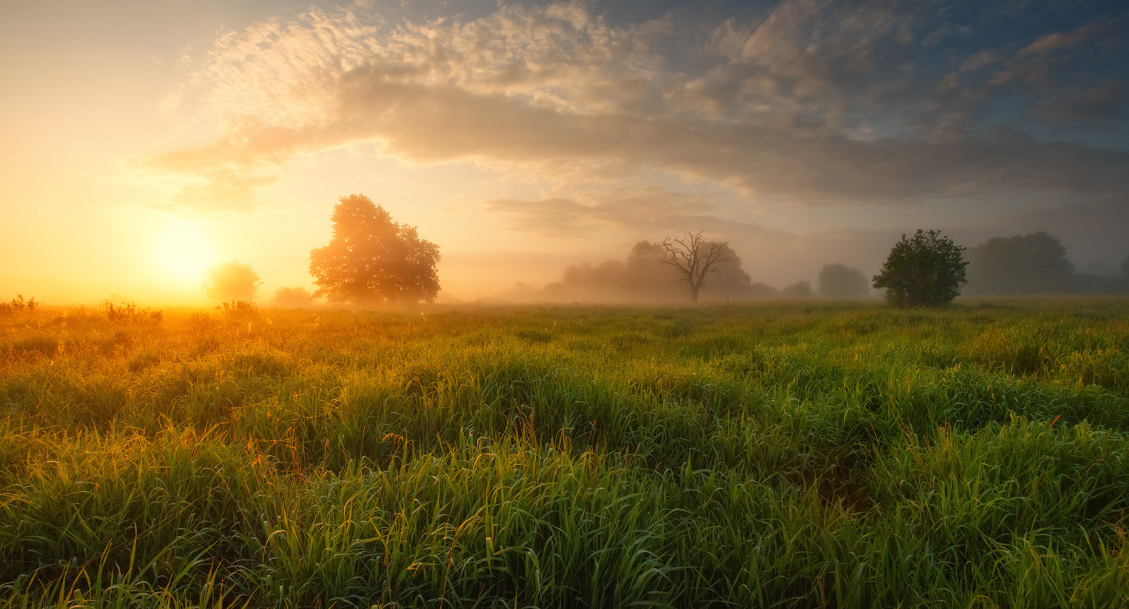 Утренний ритм