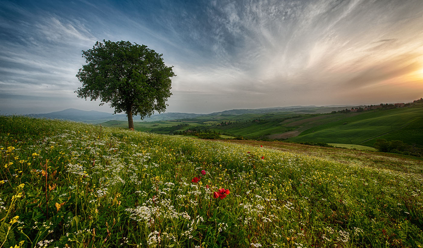 На итальянском поле