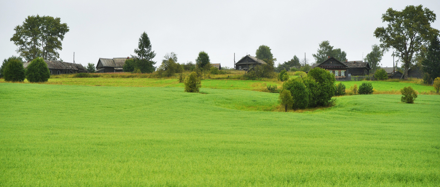 "...избенок криворотый строй..."