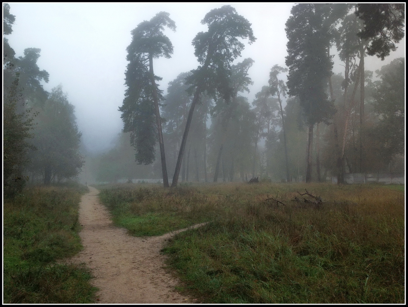 осеннее утро