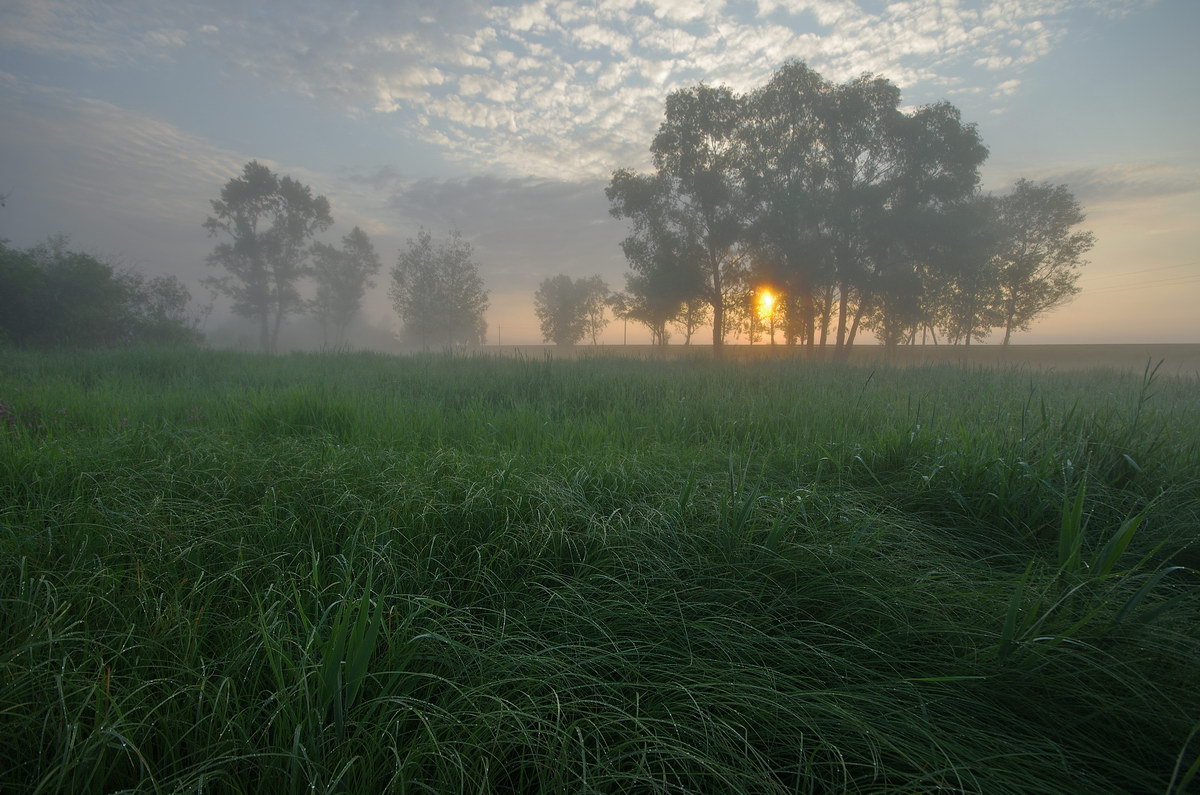 По росистым травам