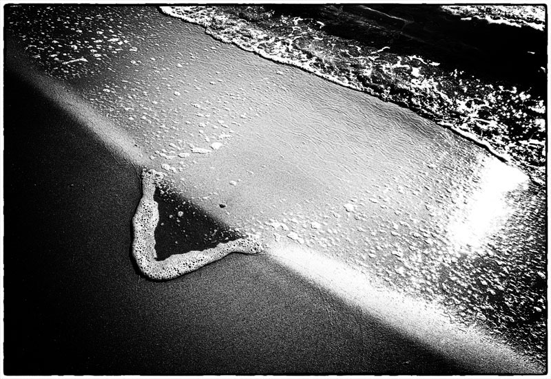 Морской язык.