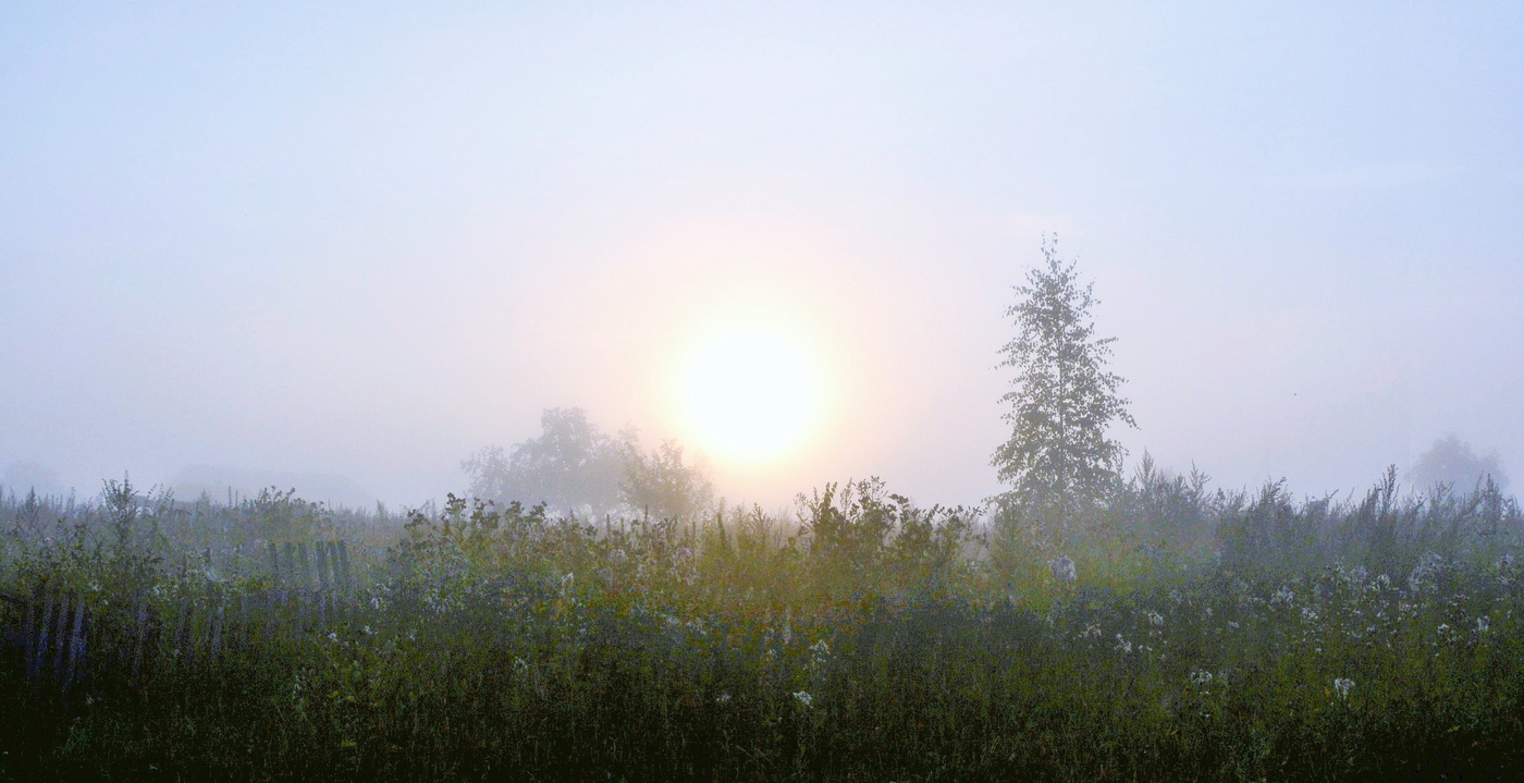 "Рой отблесков ... Утро ..."
