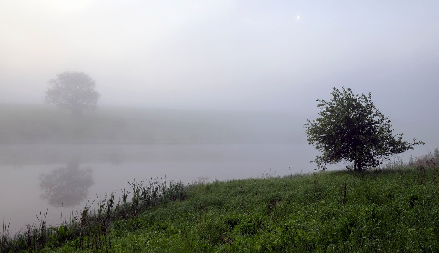 Туманное утро