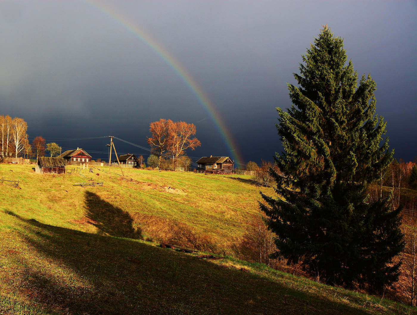 "Пронесшейся грозою полон воздух"