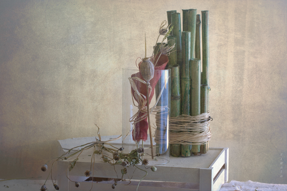 пустой бамбук