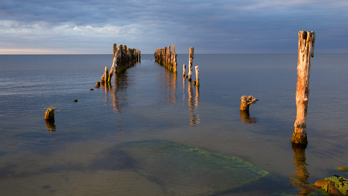 Путь старых свай