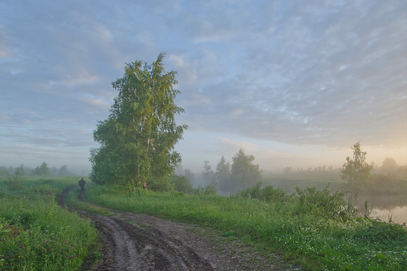 Троицыно утро