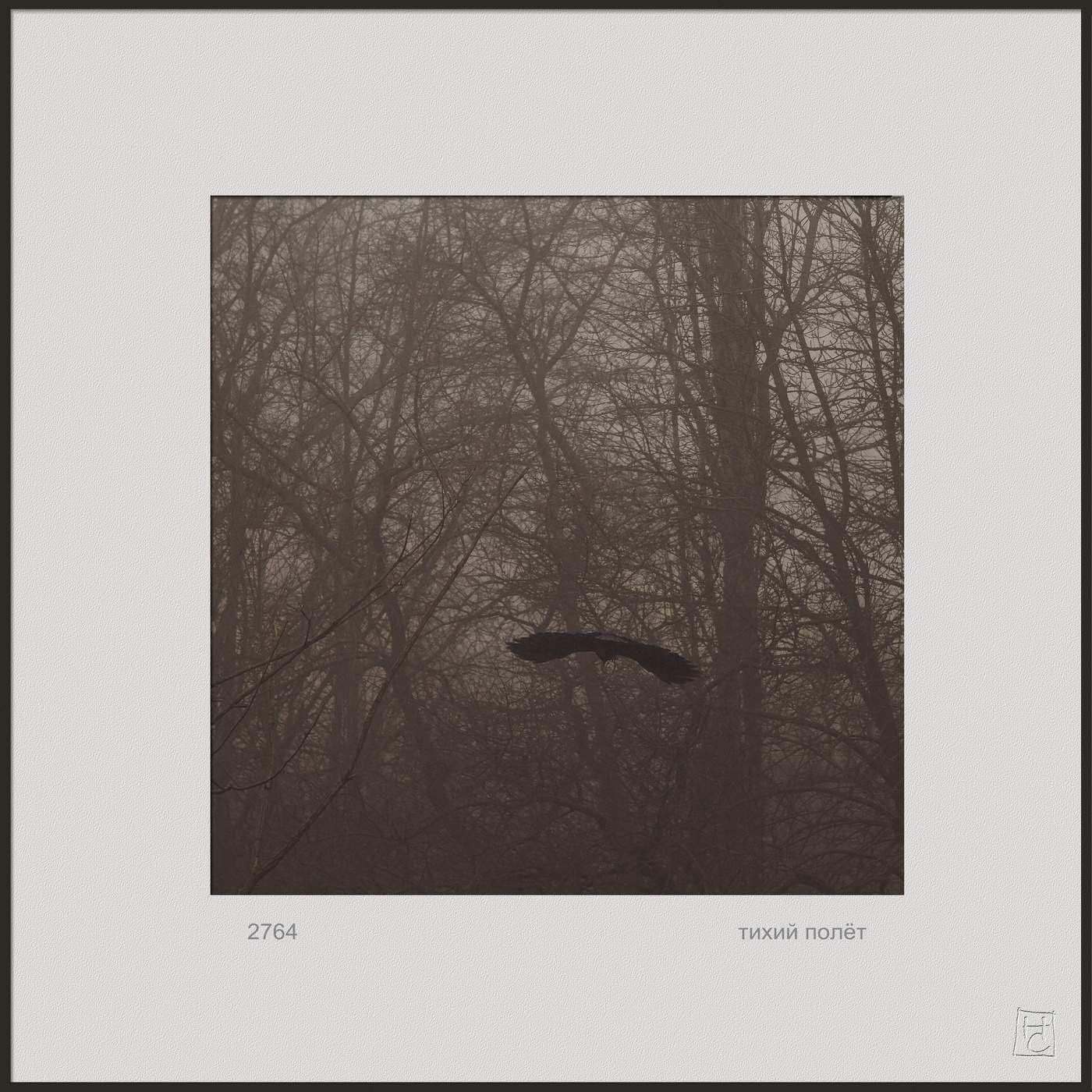 тихий полет