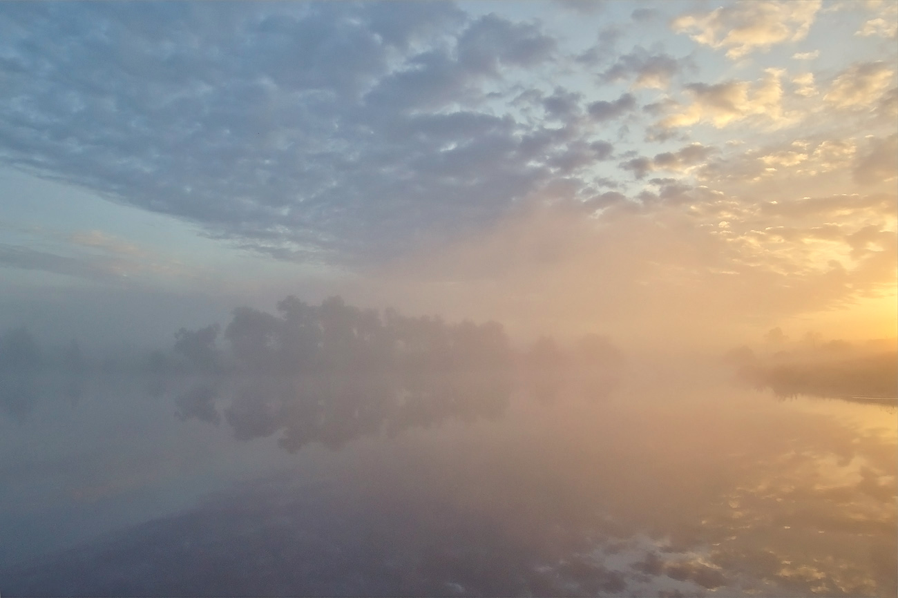 Консистенция тумана