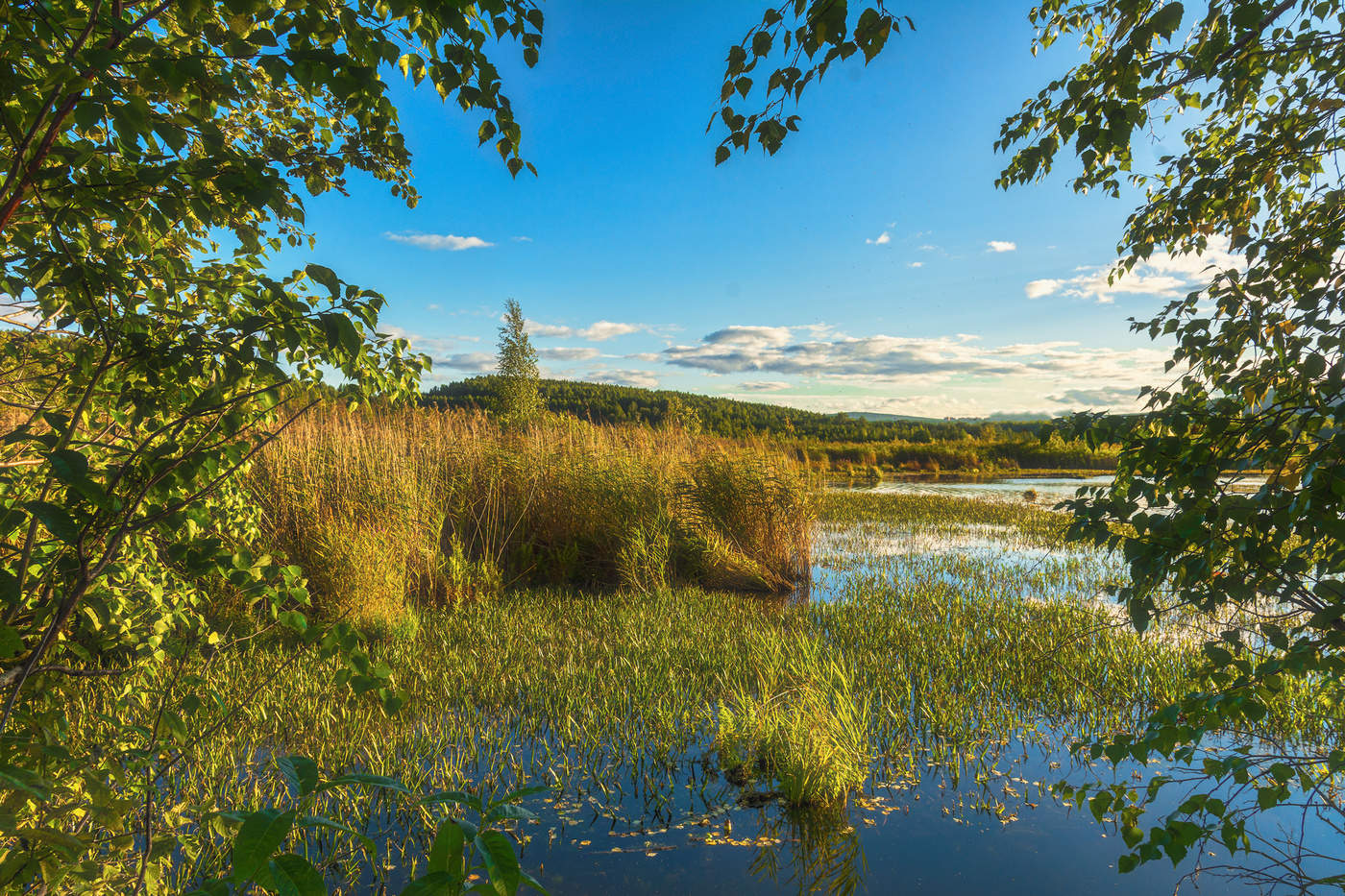 Окно в осень