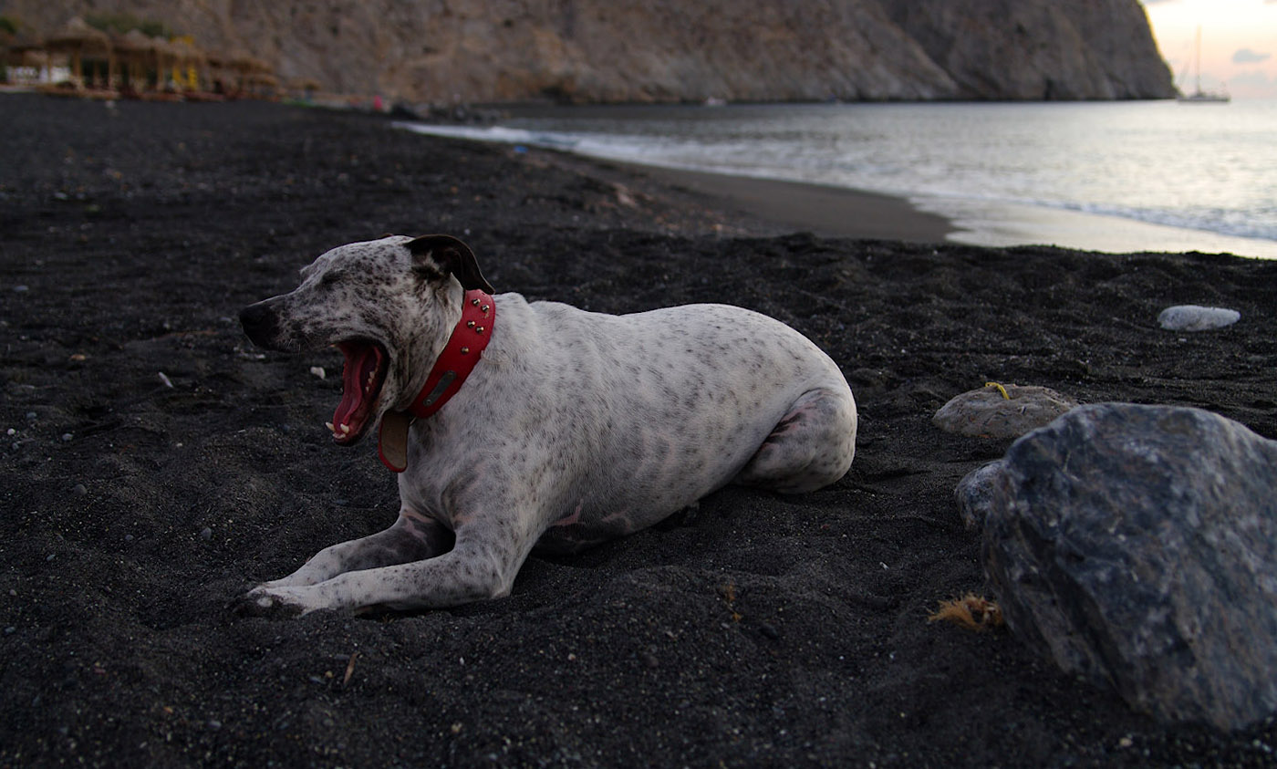 Летняя лень