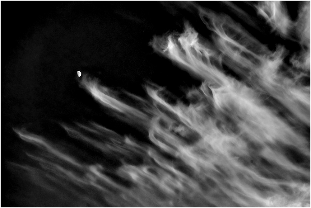 В погоне за Луной...