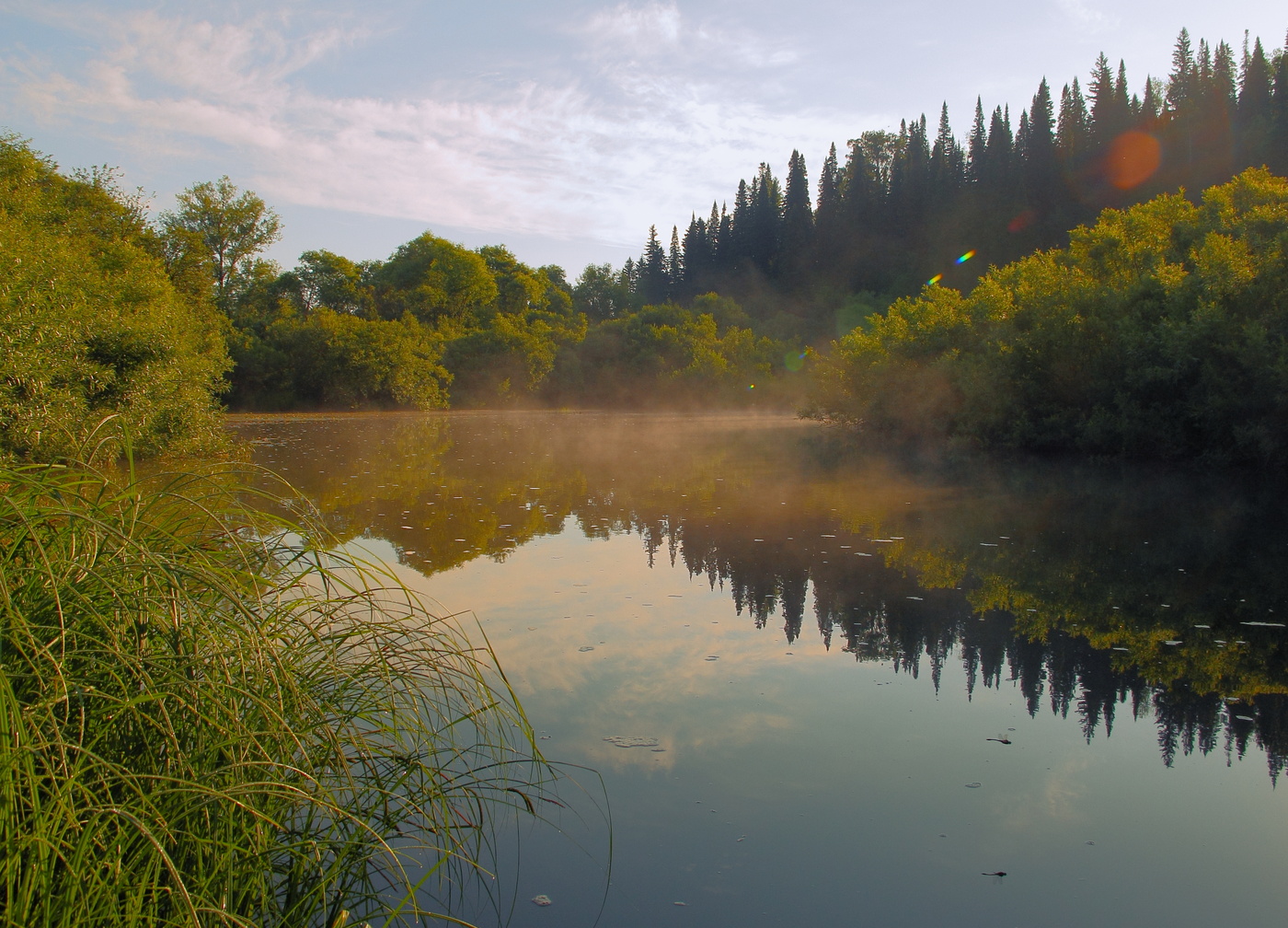 С природой дивной в нежной дружбе быть хочу