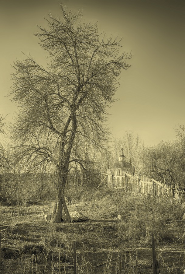 Этюд с деревом.