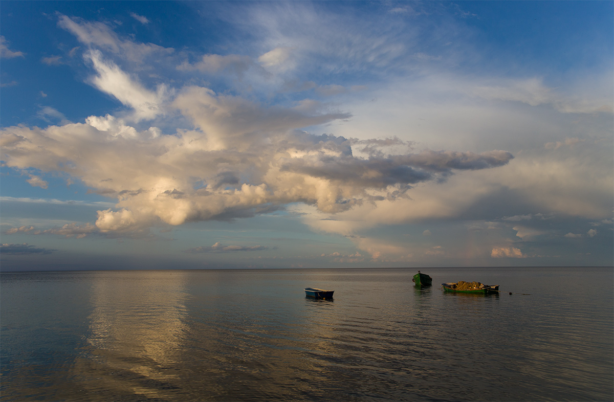 Одна квота на троих