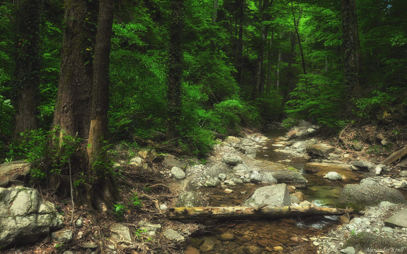 В Кубанских джунглях...