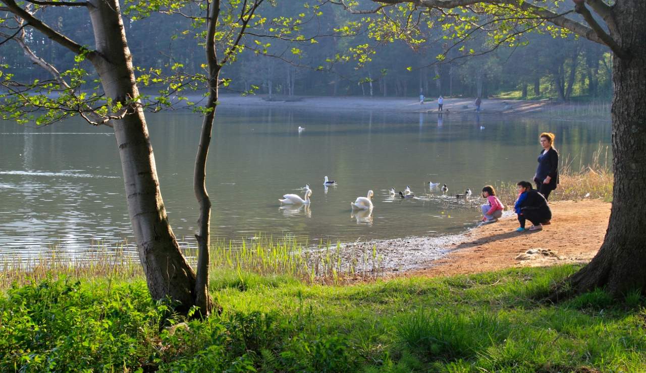 Вечер выходного дня