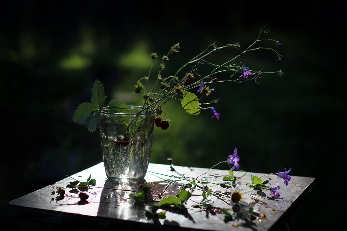 Июньским вечером...