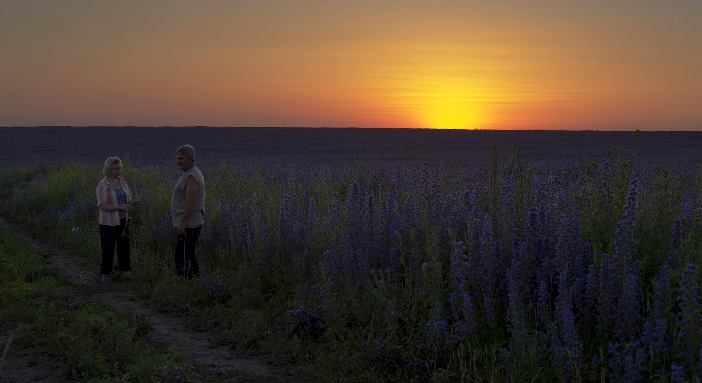 Встреча на закате.....