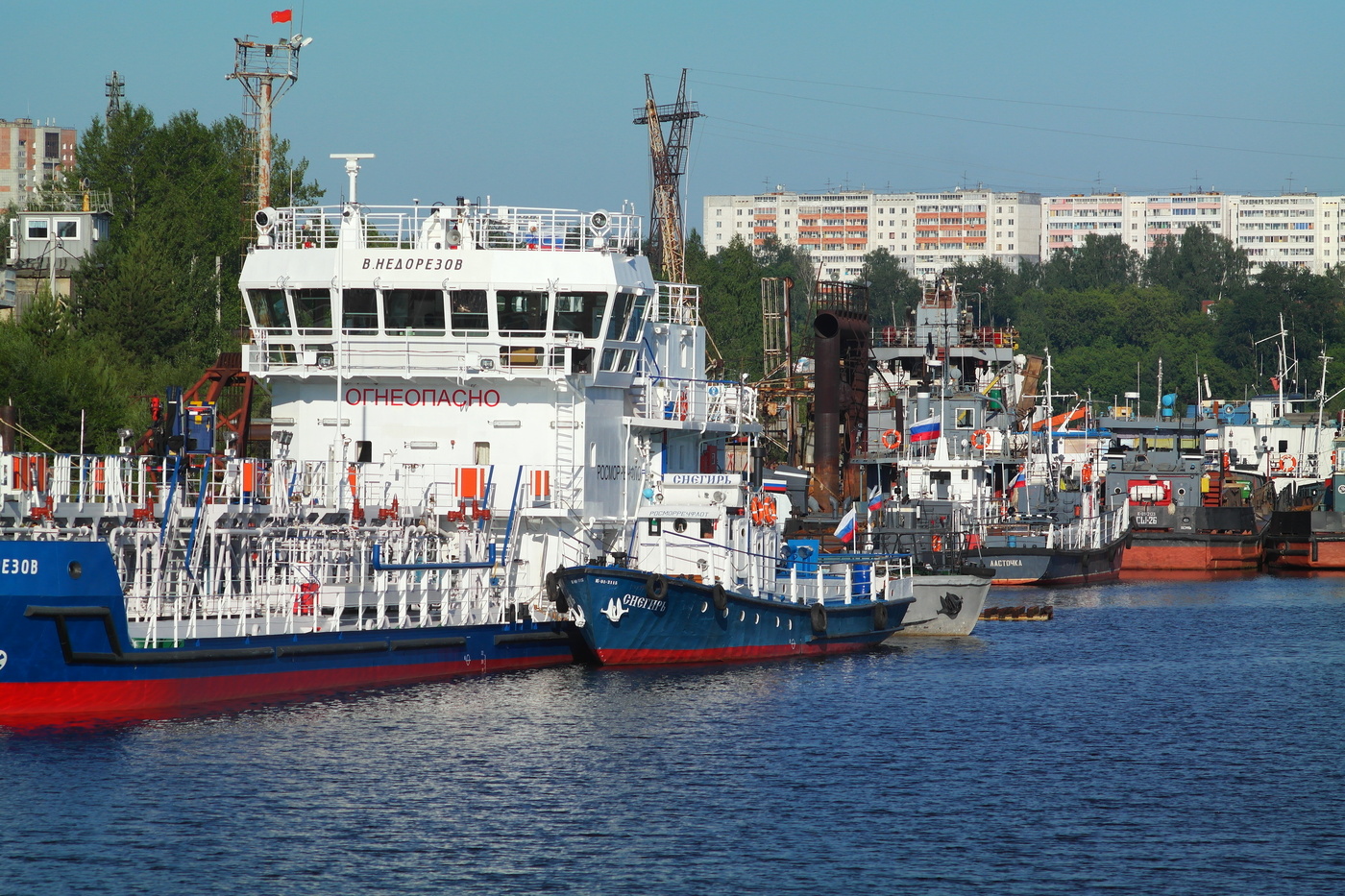 Снегирь и ласточка.