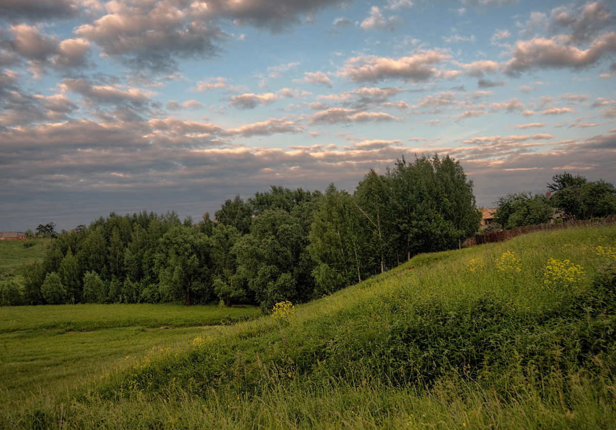 Кучерявое лето