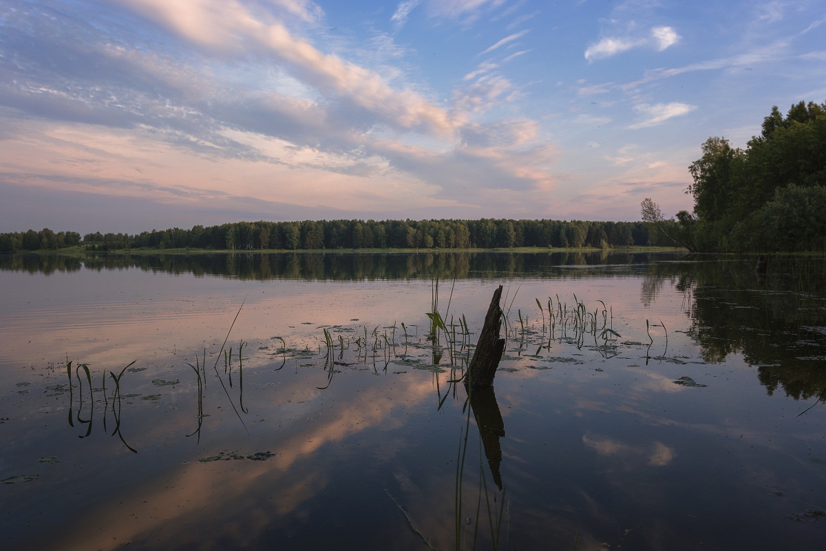 Тихое утро лета.