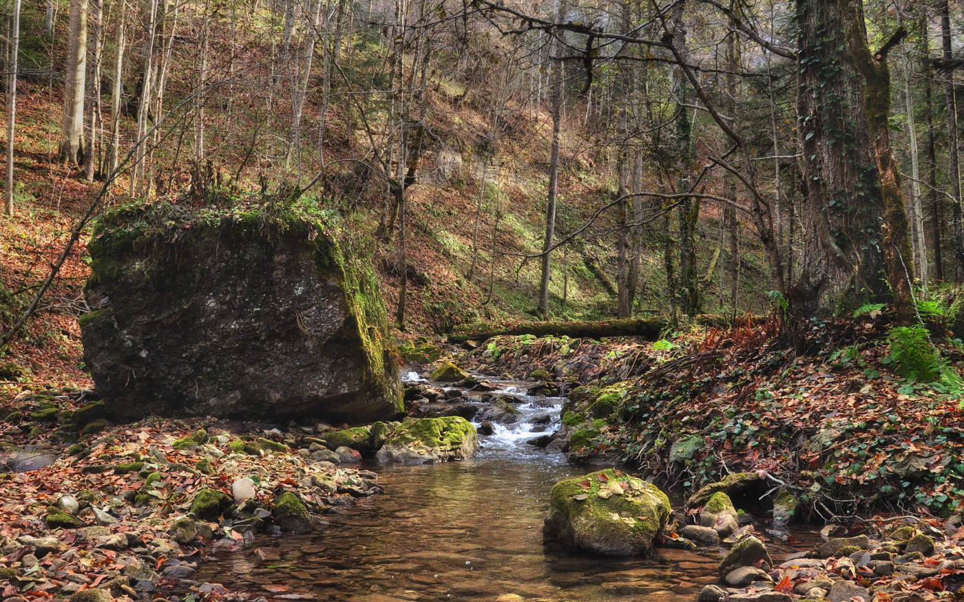 По ноябрьской Мезмайке...