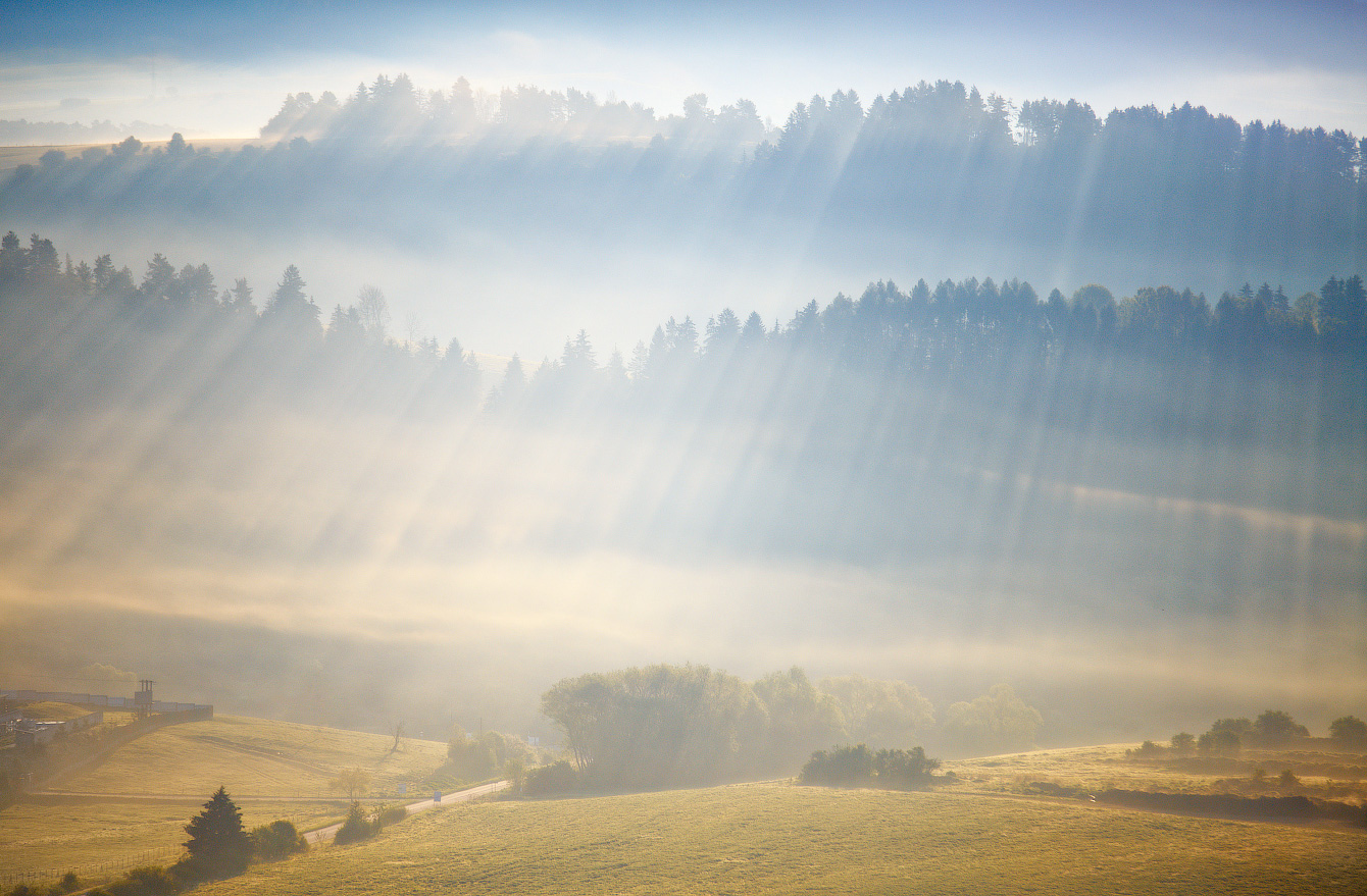 Туманный этюд