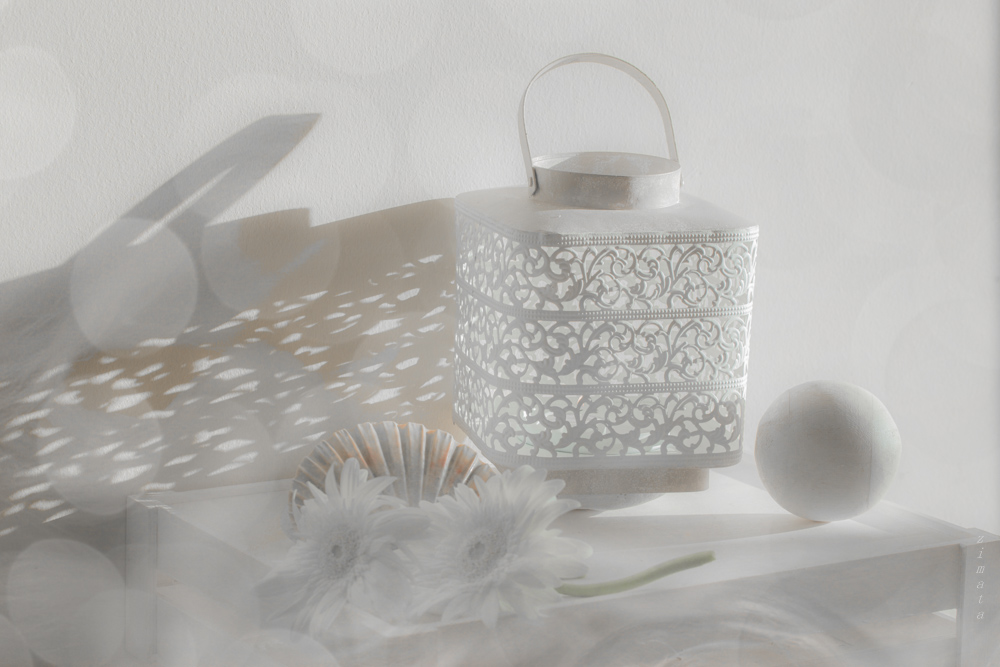 белые предметы