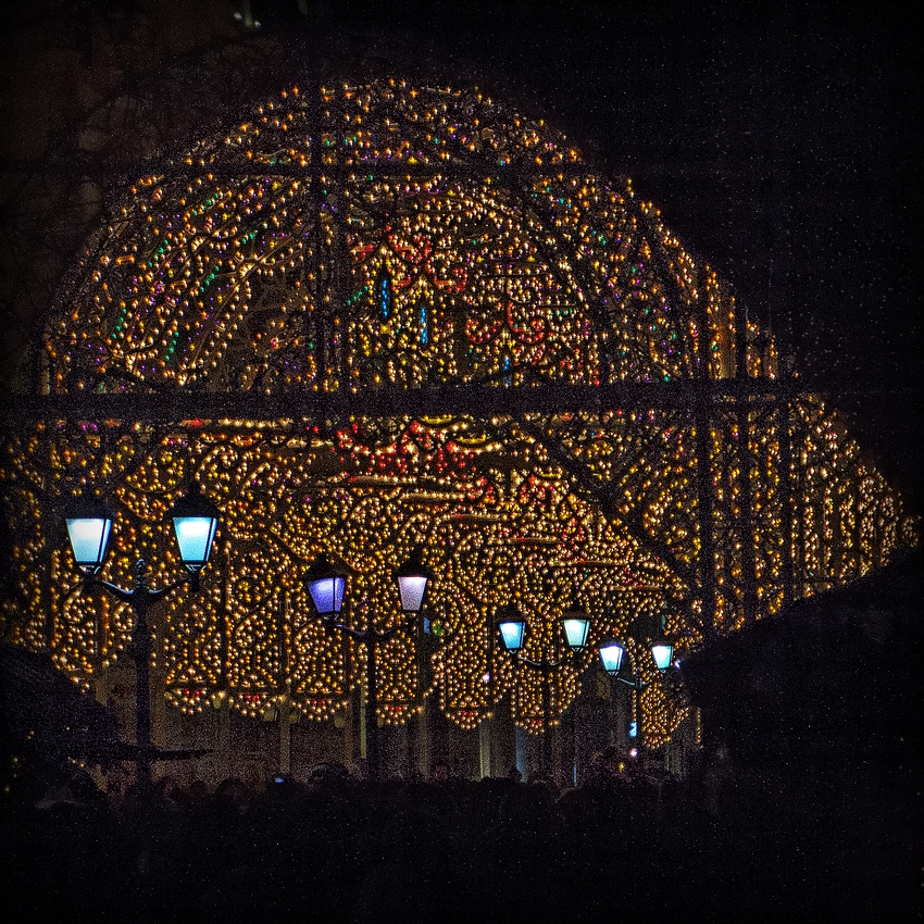 Пятничная цветотерапия