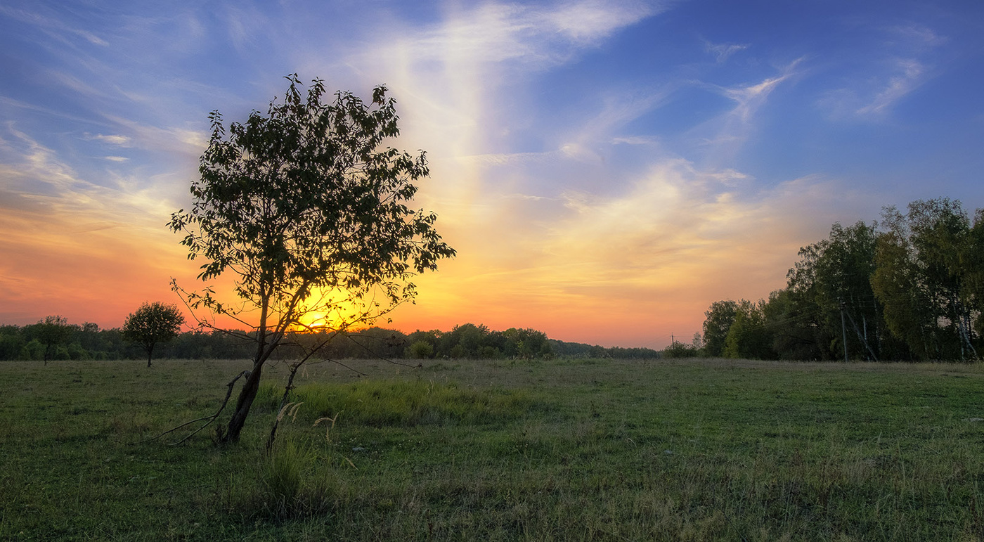 Пятничная цветотерапия