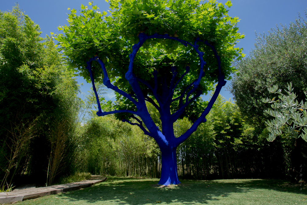 Пятничная цветотерапия