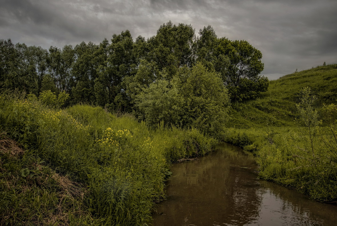 Июнь. Длинные дни.