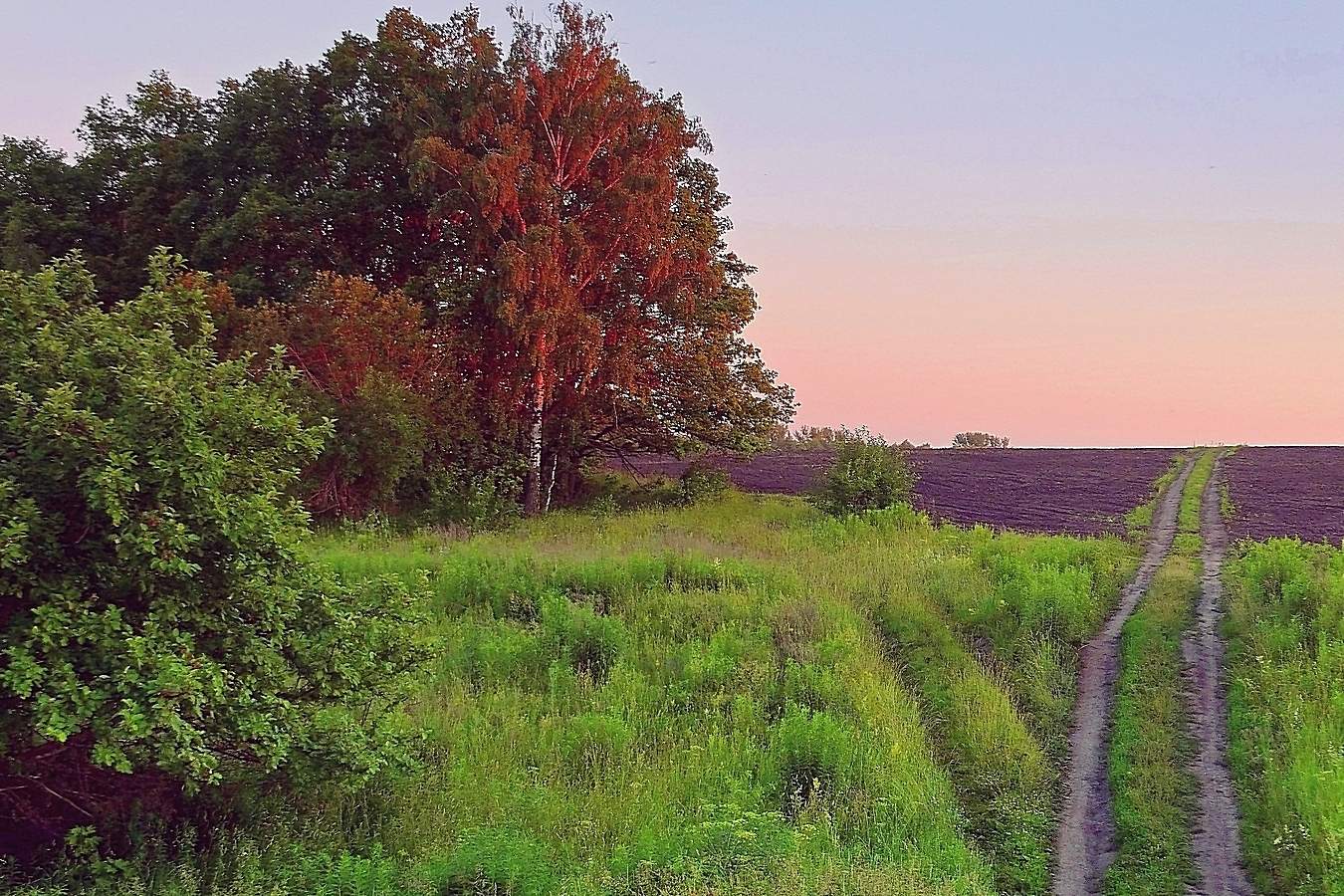 Вечер в поле