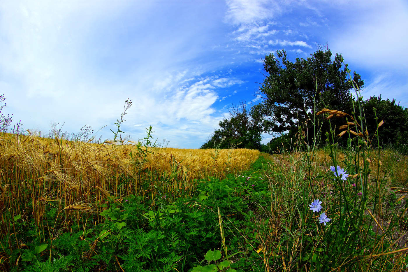 Небесный омут
