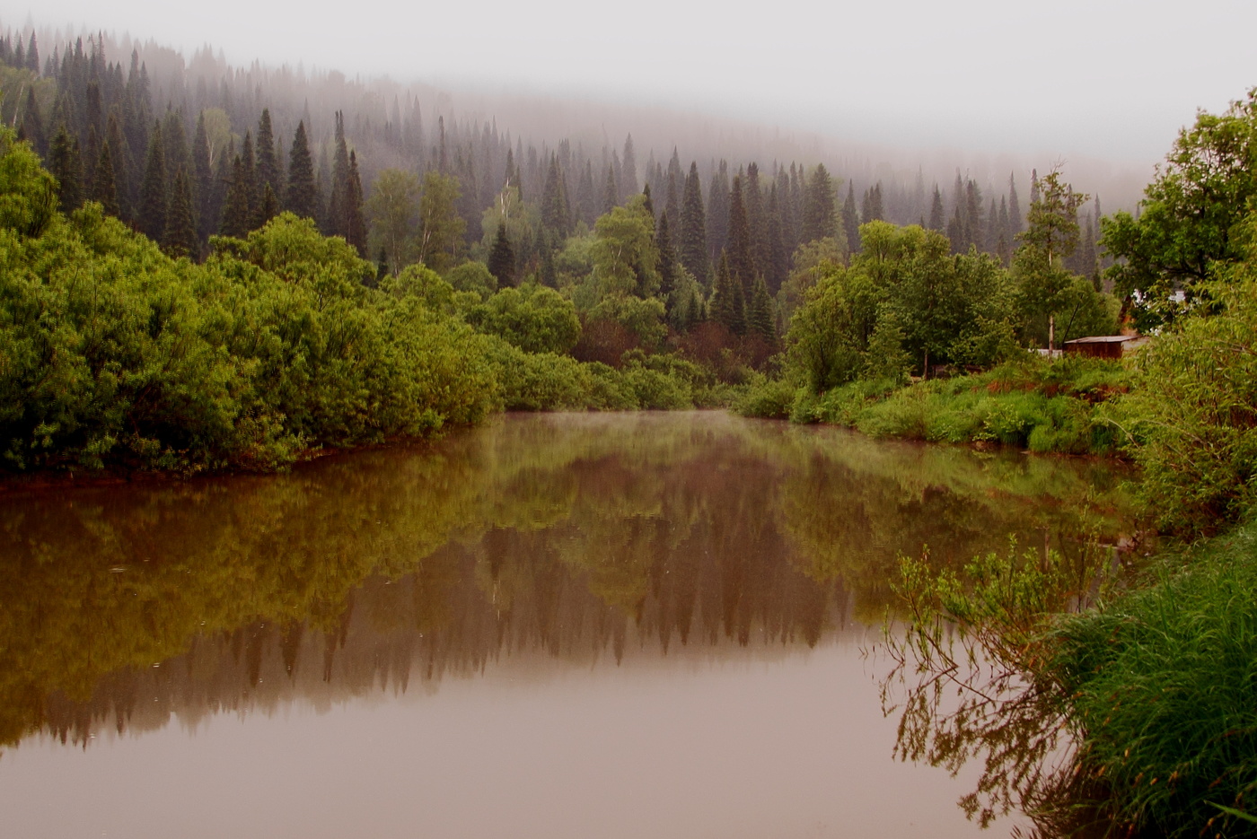 Когда душа в тумане, как во сне....